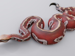 blood python - animated Modello 3D