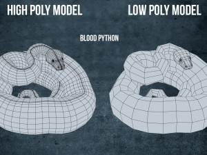 blood python - animated Modello 3D