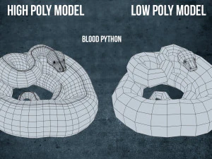 Blood python - animated 3D Model