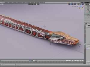 blood python - animated Modello 3D