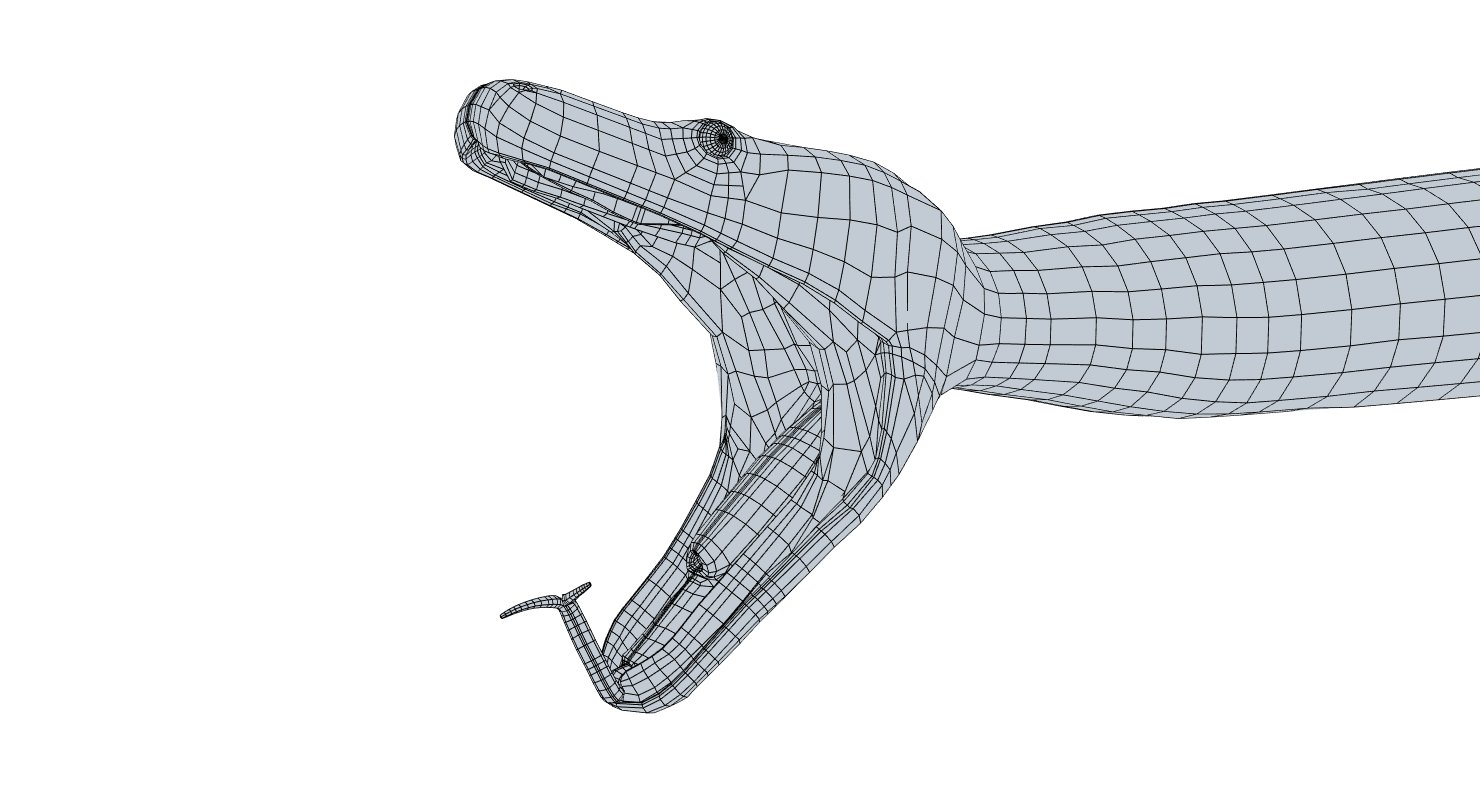 Python animation Python animation