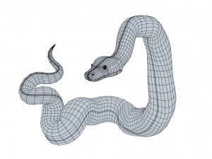 blood python - animated Modello 3D