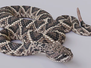 ヒガシダイヤガラガラヘビ - アニメーション 3Dモデル