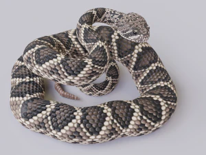 Eastern diamondback rattlesnake - animated 3D Model