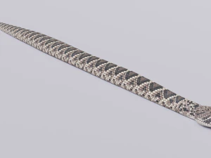 Eastern diamondback rattlesnake - animated 3D Model