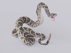 Eastern diamondback rattlesnake - animated 3D Model