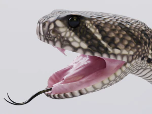 Eastern diamondback rattlesnake - animated 3D Model