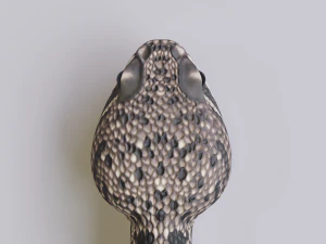 Eastern diamondback rattlesnake - animated 3D Model