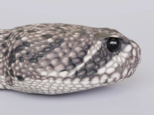 Eastern diamondback rattlesnake - animated 3D Model