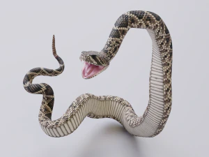 Eastern diamondback rattlesnake - animated 3D Model