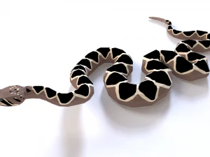 Eastern diamondback rattlesnake - animated 3D Model