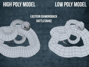 Eastern diamondback rattlesnake - animated Model 3D