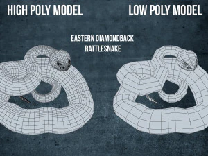 Eastern diamondback rattlesnake - animated 3D Model