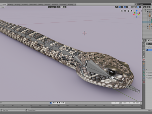 Eastern diamondback rattlesnake - animated Model 3D