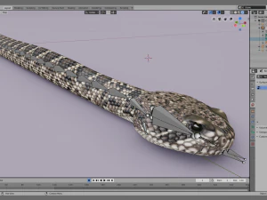 Eastern diamondback rattlesnake - animated 3D Model