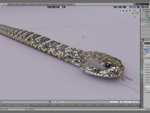 Eastern diamondback rattlesnake - animated 3D Model
