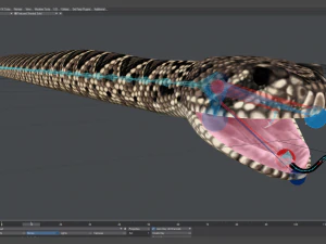 Eastern diamondback rattlesnake - animated 3D Model