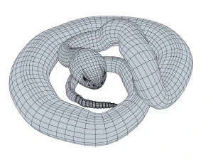 Eastern diamondback rattlesnake - animated 3D Model