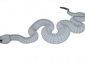 Eastern diamondback rattlesnake - animated 3D Model