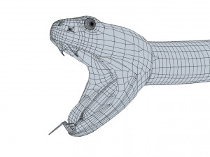 Eastern diamondback rattlesnake - animated Model 3D