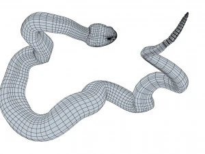 Eastern diamondback rattlesnake - animated 3D Model