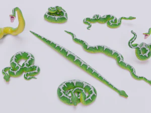 Emerald tree boa - animated 3D Model
