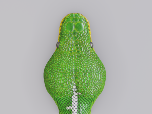 emerald tree boa - animated Model 3D
