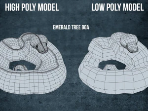 Emerald tree boa - animated 3D Model