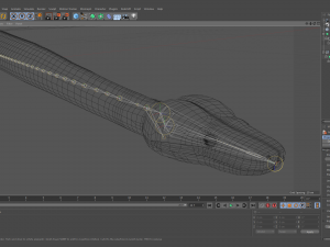 emerald tree boa - animated Model 3D