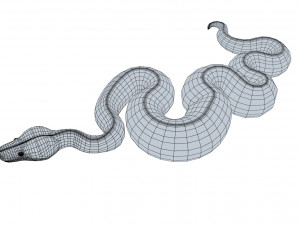 emerald tree boa - animated Model 3D