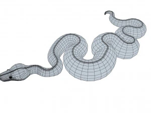 Emerald tree boa - animated 3D Model