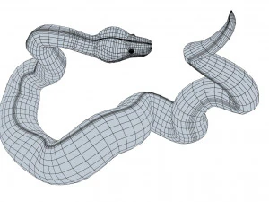 Emerald tree boa - animated 3D Model