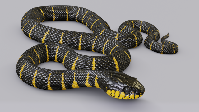 mangrove snake - animated Modèle 3D .c4d .max .obj .3ds .fbx .stl .blend 