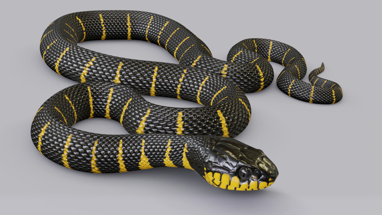 Mangrove snake - animated 3D Model .c4d .max .obj .3ds .fbx .stl .blend