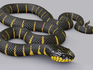 mangrove snake - animated 3D 모델