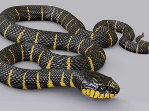 マングローブヘビ - アニメーション 3Dモデル