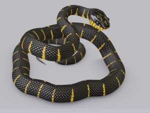 mangrove snake - animated Modèle 3D