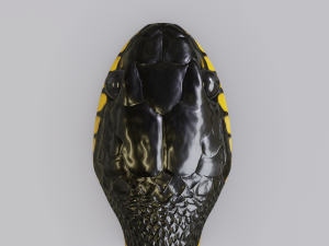 mangrove snake - animated Modèle 3D