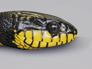 Mangrove snake - animated 3D Model