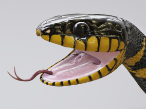 mangrove snake - animated Modèle 3D