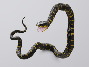 mangrove snake - animated Modèle 3D