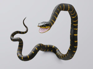 Mangrove snake - animated 3D Model