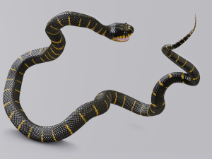 mangrove snake - animated Modèle 3D