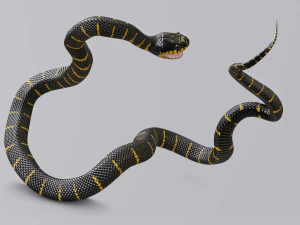 Mangrove snake - animated 3D Model