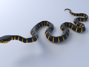 mangrove snake - animated Modèle 3D