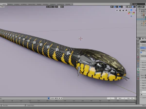 Mangrove snake - animated 3D Model