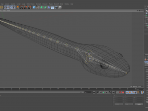 mangrove snake - animated Modèle 3D