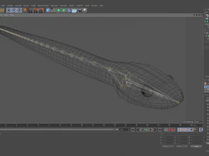 Mangrove snake - animated 3D Model