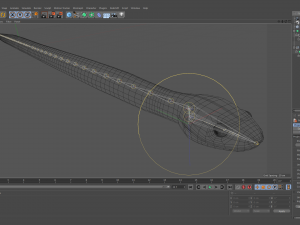 mangrove snake - animated Modèle 3D