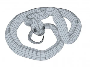 Mangrove snake - animated 3D Model